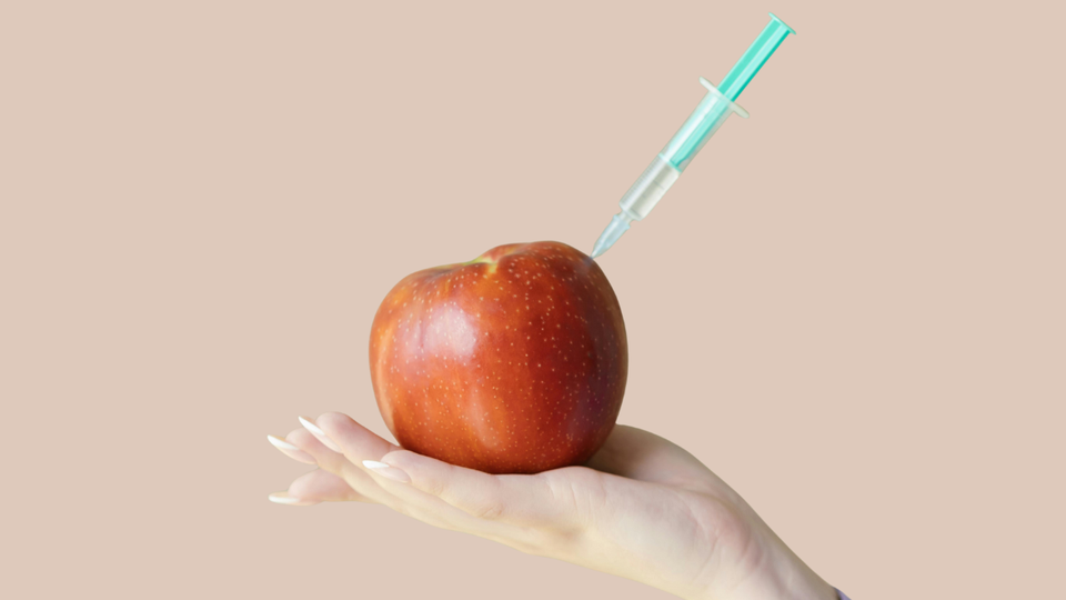 Amity Institute of Food Technology-Food Science & Technology